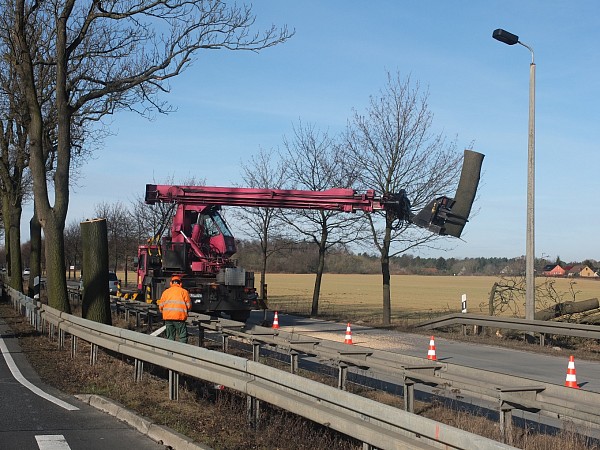 Einsatz des Tree-Trimmers an der B1 in Brandenburg