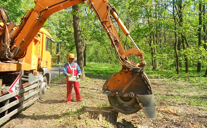 Einsatz der Stubben-Fräse in Brandenburg/Waldesruh